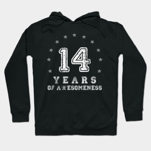 Vintage 14 years of awesomeness Hoodie